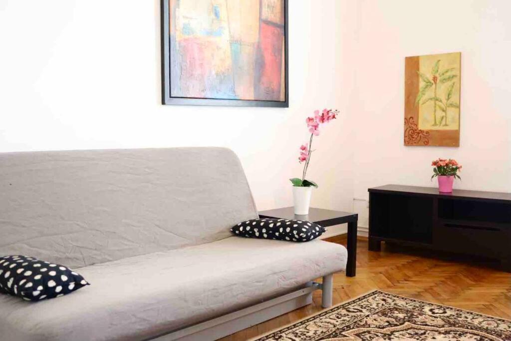 Soltyka 5 Rooms Apartment Krasków Eksteriør bilde